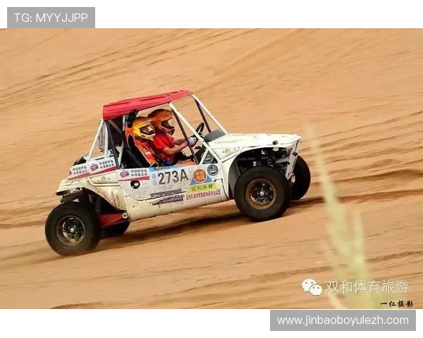 多米体育官网品牌优势与市场竞争力分析，打造行业领先的游戏平台